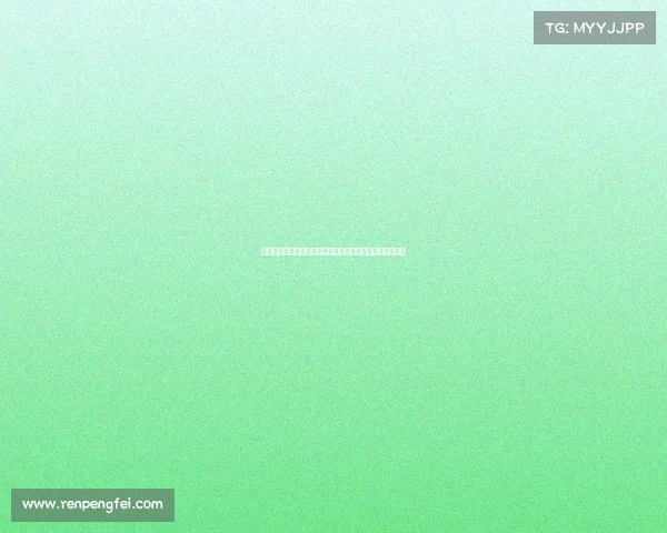 以斯特拉斯堡为中心探讨欧洲历史文化交融与现代发展动态