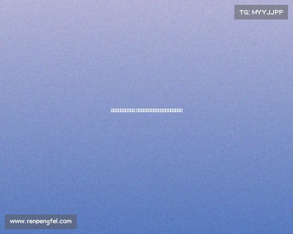 欧洲杯小组赛激战升级 约基奇与申京争夺头名五队竞逐两晋级席位