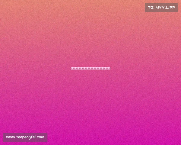 以斯特拉斯堡为中心探讨欧洲历史文化交融与现代发展动态