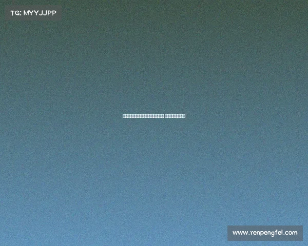 费内巴切正式签约前狼队后卫塞梅多 双方达成两年合约 费内巴切正式签约前狼队后卫塞梅多 双方达成两年合约