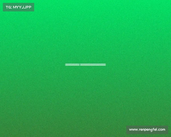 浙江与津门虎外援对决 王钰栋巴顿王秋明联手出战展开激烈较量